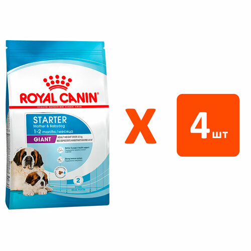 ROYAL CANIN GIANT STARTER для щенков крупных пород до 2 месяцев, беременных и кормящих сук (4 кг х 4 шт) фотография