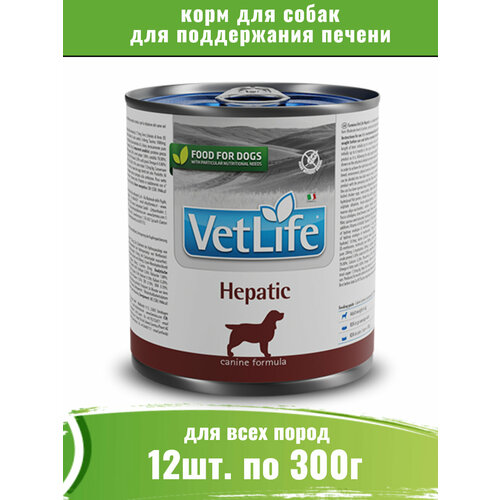 Farmina Vet Life Dog Hepatic 12шт по 300г корм для собак при заболеваниях печени фотография