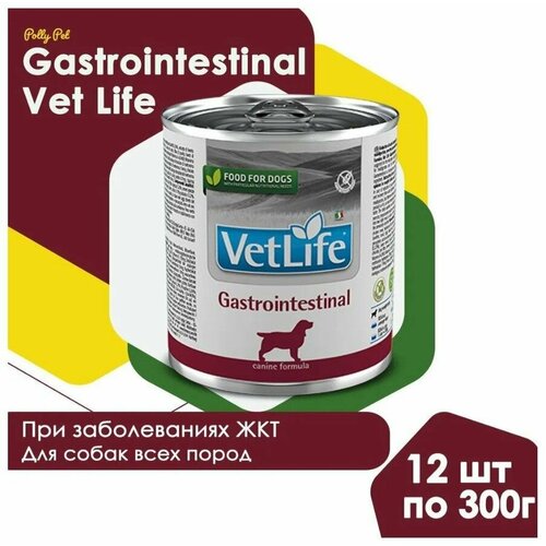 Консервированный влажный корм Farmina Vet Life Gastrointestinal для собак всех пород, c нарушениями ЖКТ, Фармина Вет Лайф гастроинтестинал со вкусом курицы, 12шт по 300г фотография