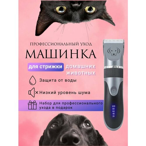 Машинка для стрижки животных с набором аксессуаров / Триммер для собак и кошек фотография