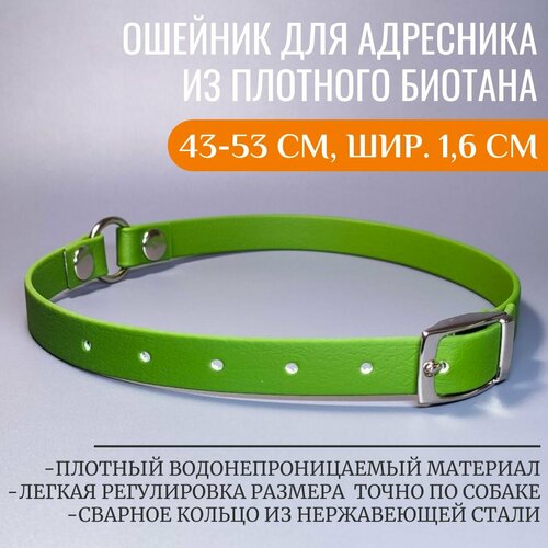 R-Dog ошейник для адресника из плотного биотана, цвет оливковый, 43-53 см, ширина 1,6 см фотография