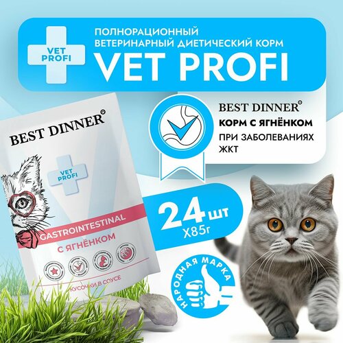 Влажный корм для кошек Best Dinner VET PROFI Gastro Intestinal кусочки в соусе Ягненок, 85 г х 24 шт для чувствительного пищеварения и пищевой непереносимости, пауч (Бест Диннер) фотография