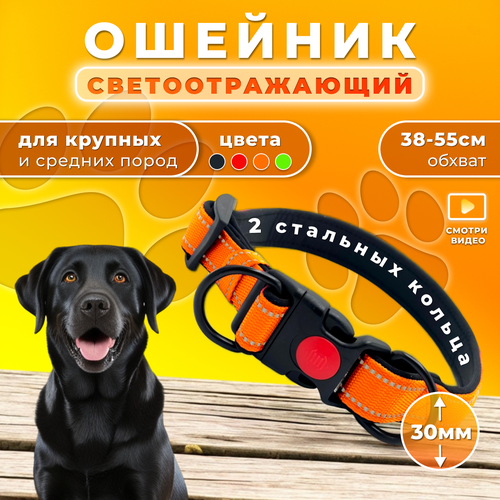 Ошейник Doggy&Dog Shop, для крупных и средних собак, с двумя кольцами, светоотражающий, оранжевый фотография