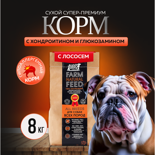 фотография Сухой корм для собак крупных и средних пород Buddy Dinner Orange Line Hypoallergenic с лососем 8 кг, купить онлайн 4309 рубл