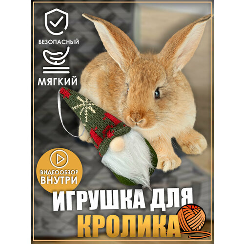 Игрушка для кролика, гномик, игрушки для грызунов, для животных фотография