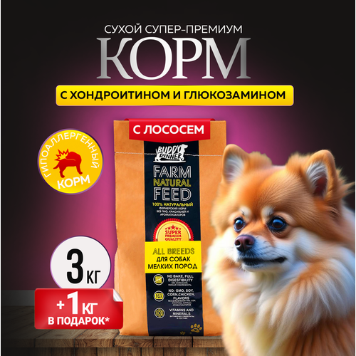 Сухой корм для собак мелких пород Buddy Dinner Gold Line Hypoallergenic с лососем 3 кг + 1 кг в подарок фотография