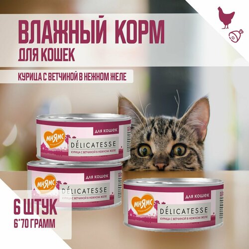 фотография Влажный дополнительный корм Мнямс для кошек, Курица с ветчиной в нежном желе, 70г х 6шт, купить онлайн 1050 рубл