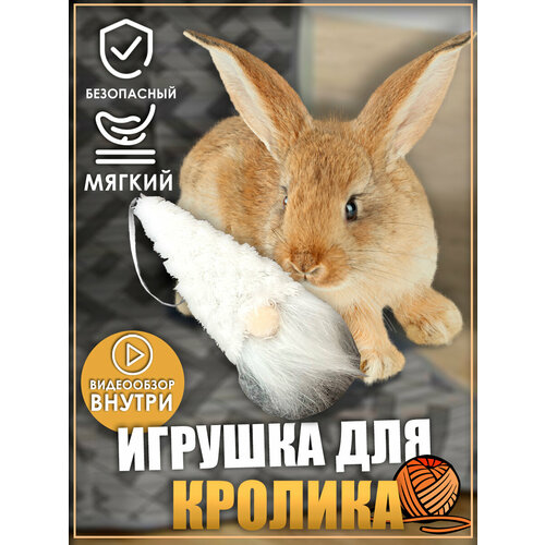 Игрушка для кролика, игрушки для грызунов, фотография