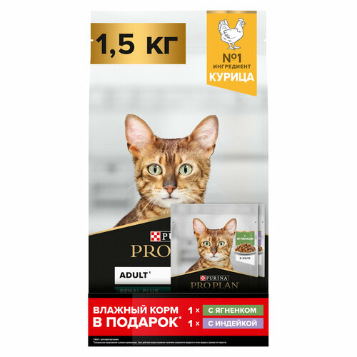 Сухой корм PRO PLAN® RENAL PLUS для взрослых кошек, с курицей, 1.5 кг + Влажный корм PRO PLAN® MAINTENANCE для кошек, с ягненком и индейкой, 85 г фотография