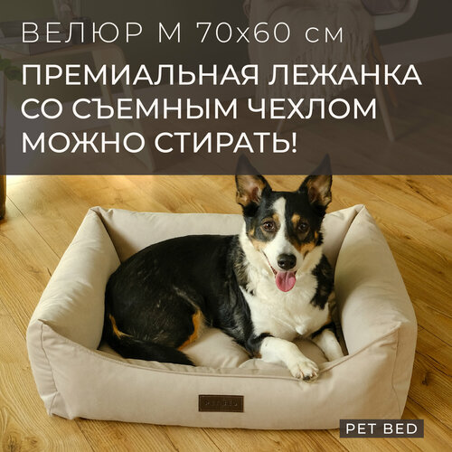 Лежанка для собак средних пород со съемным чехлом PET BED Велюр, размер M 70х60 см, бежевая фотография