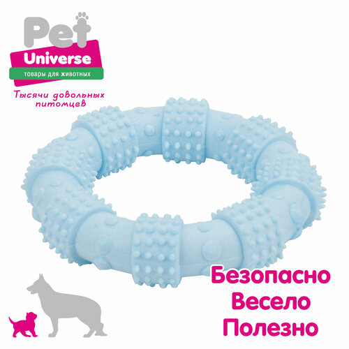 фотография Игрушка для собак Pet Universe многофактурное кольцо с пупырышками 12х3 см, ТПР, синий, PU3062BE, купить онлайн 367 рубл