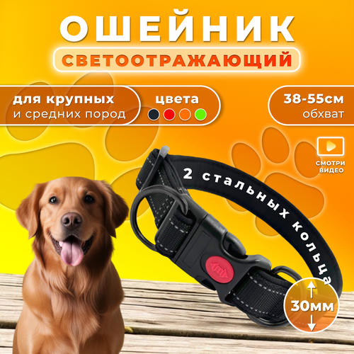 Ошейник Doggy&Dog Shop, для крупных и средних собак, с двумя кольцами, светоотражающий, черный фотография