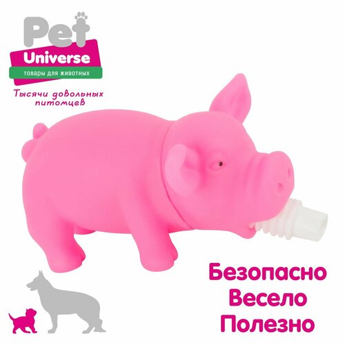 Игрушка для собак Pet Universe хрюкающий поросёнок со звуком, 15х6х7 см, винил, розовый PU3027PK фотография