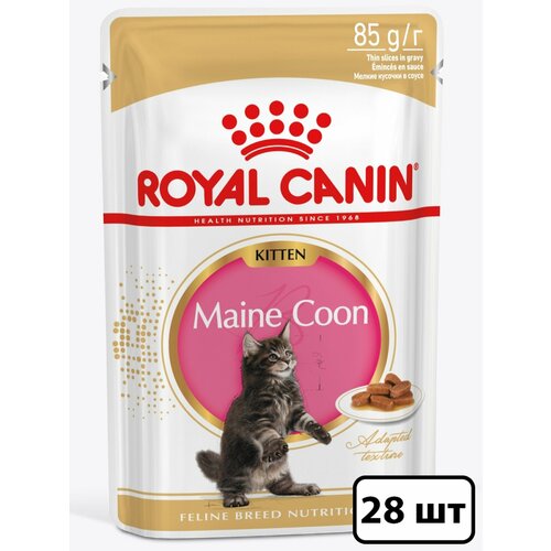 Royal Canin влажный корм для котят породы Мэйн Кун, кусочки в соусе (28шт в уп) 85 гр фотография