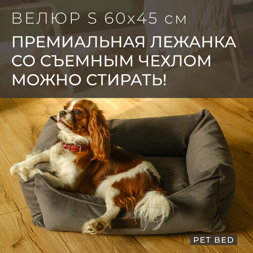 Лежанка для собак мелких пород со съемным чехлом PET BED Велюр, размер S 60х45 см, темно-серая фотография