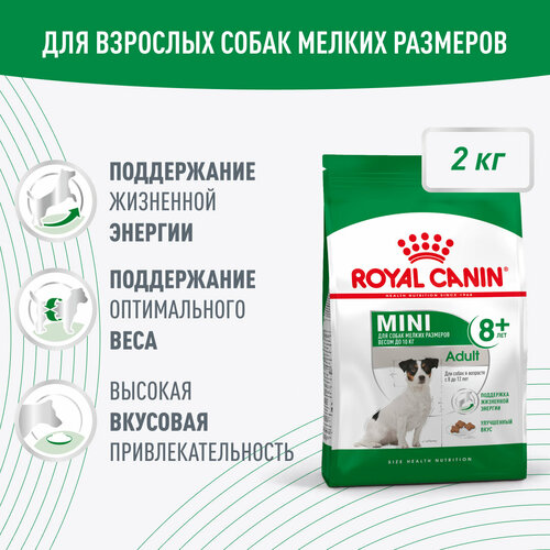 Royal Canin Mini Adult 8+ для взрослых собак мелких размеров (до 10 кг) старше 8 лет, 2кг фотография