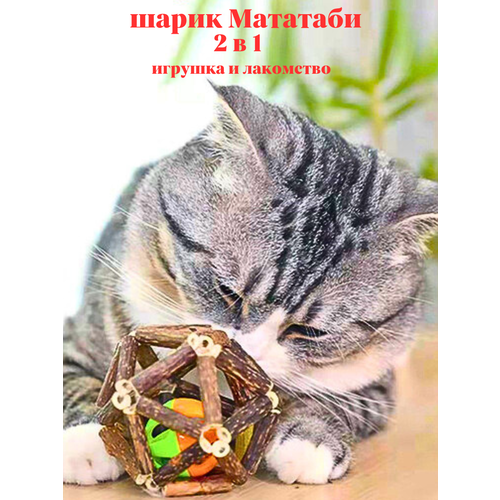 Игрушка для кошек мататаби с мятой 2в1 фотография