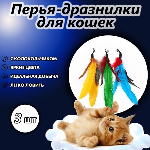 Игрушки для кошек дразнилка Перья на резинке 3 шт. фотография