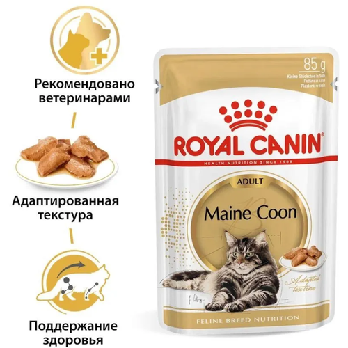 фотография Royal Canin Maine Coon Adult Sauce // Корма для кошек / Влажный (85 гр), купить онлайн 2632 рубл