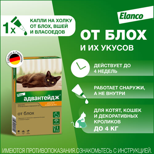 фотография Адвантейдж® (Elanco) капли на холку от блох для котят и кошек до 4 кг - 1 пипетка, купить онлайн 526 рубл