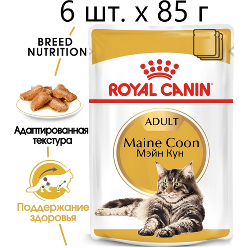 Влажный корм для кошек Royal Canin Maine Coon Adult, для взрослых кошек породы мейн-кун, 6 шт. х 85 г (кусочки в соусе) фотография