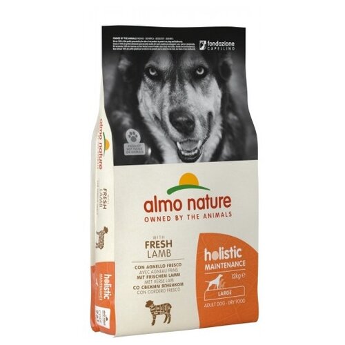 Сухой корм для собак Almo Nature Holistic, ягненок 1 уп. х 1 шт. х 12000 г фотография