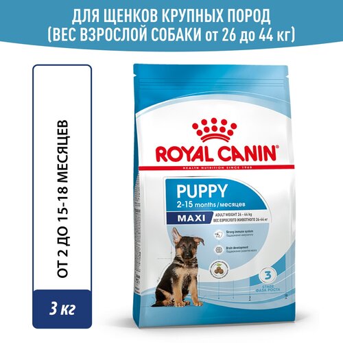 Сухой корм Royal Canin Maxi Puppy (Макси Паппи) для щенков до 15 месяцев (для крупных пород), 3 кг фотография