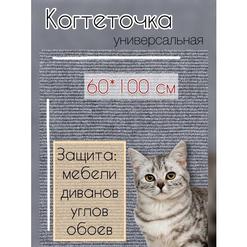 Когтеточка самоклеящаяся фотография