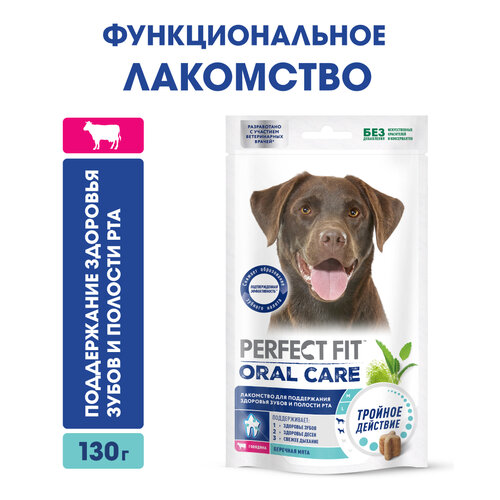 фотография Лакомство для собак Perfect Fit ORAL CARE с говядина и мята «Для поддержания здоровья зубов и полости рта», 1040 г, купить онлайн 1093 рубл