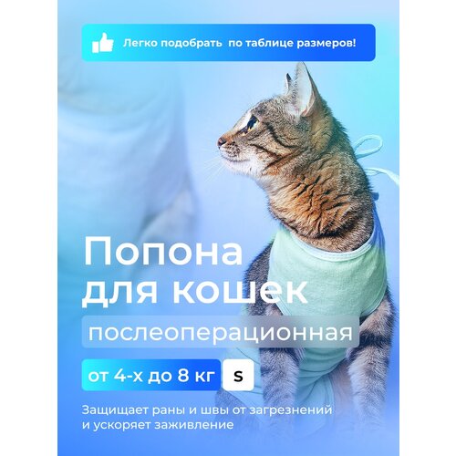 Попона для кошек послеоперационная 4-8 кг AniMall фотография