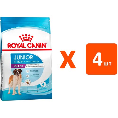 ROYAL CANIN GIANT JUNIOR для щенков крупных пород (3,5 кг х 4 шт) фотография