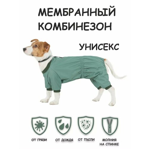 Новинка! Дождевик для собак DOGMODA Мартин (цвет мятный) унисекс р. 4, 32см фотография