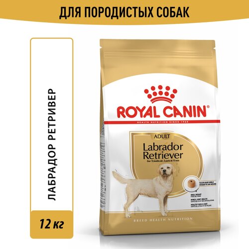 Сухой корм Royal Canin Labrador Retriever Adult (Лабрадор Ретривер Эдалт) для взрослых собак породы Лабрадор ретривер от 1 года до 8 лет, 12 кг фотография