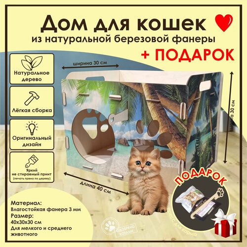 фотография Домик для кошек Мини / Деревянный домик для кота / Лежак для кошек / Лежанка для кошки из фанеры / Домик для животных из дерева, купить онлайн 830 рубл