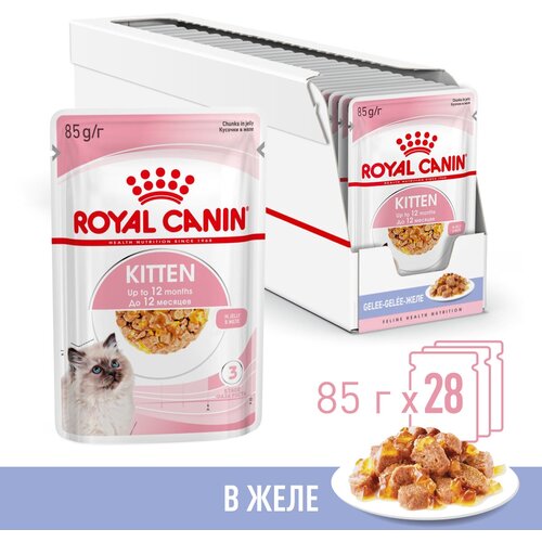 Влажный корм в желе Royal Canin Kitten Jelly (Киттен Желе) для котят до 12 месяцев, 28*0,085 г фотография