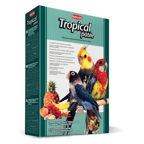 Padovan корм Tropical Patee с фруктами для средних попугаев, 700 г фотография