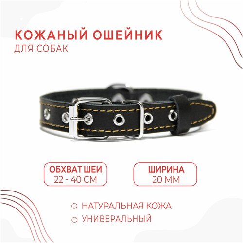 Кожаный ошейник (обхват шеи 22-40 см) для собак Чёрный фотография