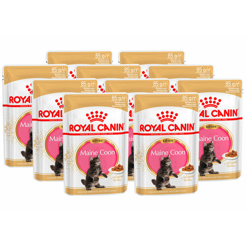 ROYAL CANIN MAINE COON KITTEN для котят мэйн кун в соусе пауч 85 гр 85 гр х 10 шт фотография