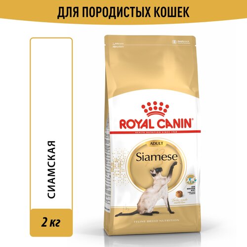 Корм для кошек Royal Canin Siamese Adult (Сиамиз Эдалт) Корм сухой сбалансированный для взрослых сиамских кошек от 12 месяцев, 2 кг фотография