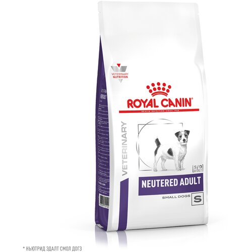 Royal Canin Neutered Adult Small Dog Корм сухой для взрослых стерилизованных/кастрированных собак мелких пород, 3,5 кг. фотография