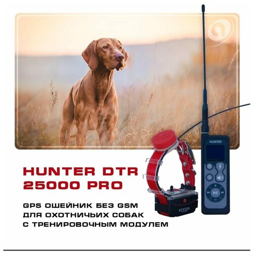 GPS ошейник для охоты Hunter DTR 25000 PRO с импульсом фотография