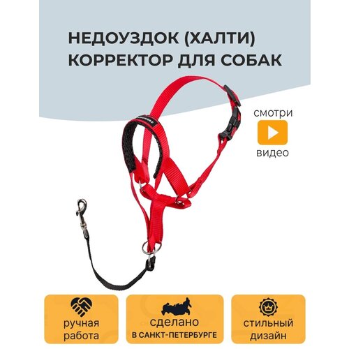 Недоуздок (Халти) №1 корректор для собак CHOKERZ. Обхват морды 14-18 см, шеи - 30-35 см фотография