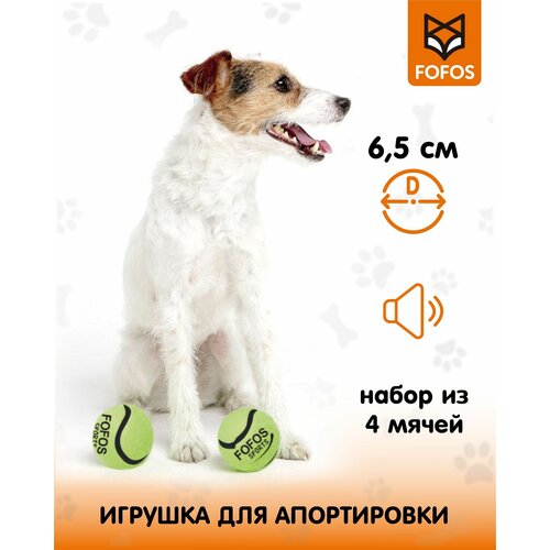 Теннисные мячики 2 шт / Игрушка для собак с пищалкой FOFOS Sports Fetch Ball 2pk фотография