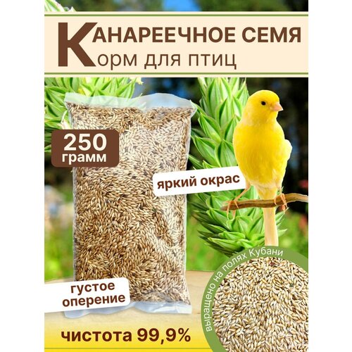 Канареечное семя корм для птиц 250г фотография