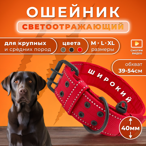 Ошейник для собак крупных и средних пород Doggy&Dog Shop широкий, светоотражающий, красный фотография