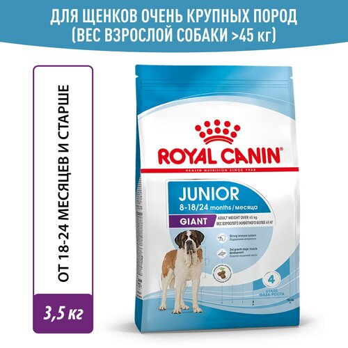 Корм для собак Royal Canin Корм Giant Junior (Джайнт Юниор) сухой для щенков очень крупных размеров до 8 месяцев, 3,5 кг фотография