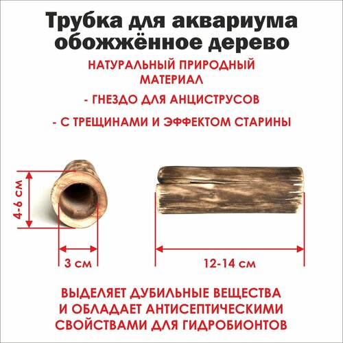 Трубка для аквариума глухая 12-14 см. с эффектом старины/ обожжённое дерево с трещинами и эффектом морёного дуба фотография