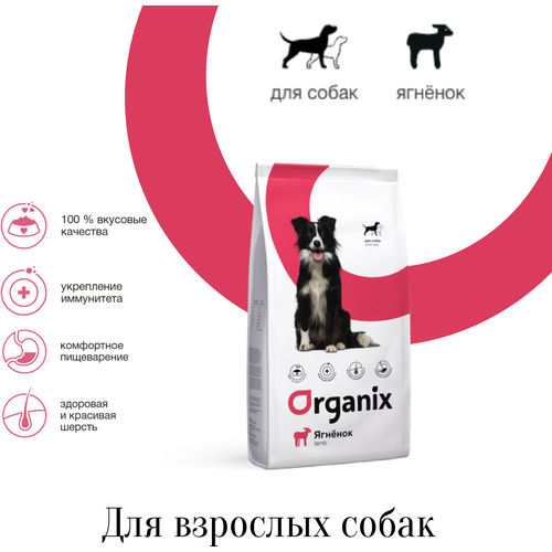 Organix корм для взрослых собак с ягненком фотография