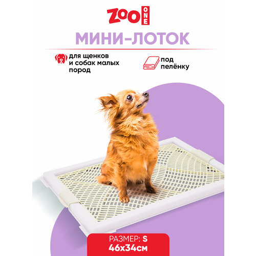 Туалет лоток для собак Zoo One с сеткой, Мини, 46 х 34 х 2 см, белый, P104-11 фотография