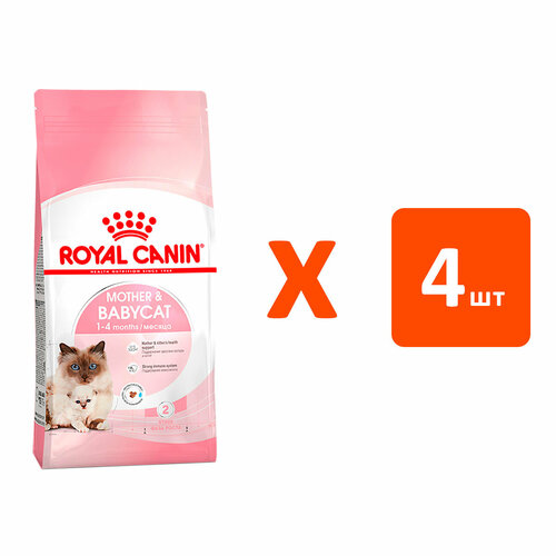 фотография ROYAL CANIN MOTHER & BABYCAT 34 для котят до 4 месяцев, беременных и кормящих кошек 0,4 кг х 4 шт, купить онлайн 2081 рубл